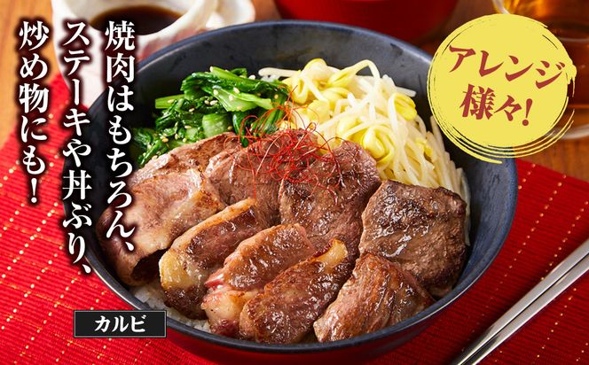 足柄牛3種焼肉セット（カルビ　上モモ　中落カルビ各250ｇ）【 肉 国産  神奈川県 小田原市 】 142069_AG033