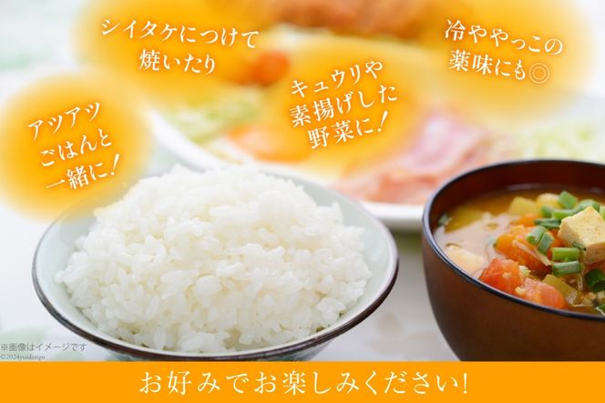 AI204 みそdeしょうが 100g 1個 [ 生姜 しょうが ショウガ 味噌 みそ お供 薬味 保存料 添加物 不使用 国産 松本農園 人作 長崎県 島原市 ]