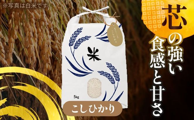 令和6年産　愛知県産　コシヒカリ・にこまる　玄米　各5kg　特別栽培米　お米　ご飯　愛西市／戸典オペレーター[AECT009]