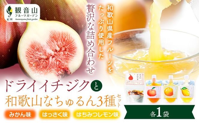ドライイチジクとなちゅるん3種のセット 各1袋 有限会社柑香園 《30日以内に出荷予定(土日祝除く)》 和歌山県 紀の川市 フルーツ 果物 柑橘 添加物不使用 ゼリー ドライフルーツ みかん はっさく はちみつレモン イチジク いちじく 送料無料---wsk_kcekdnmhl_30d_22_9000_4p---