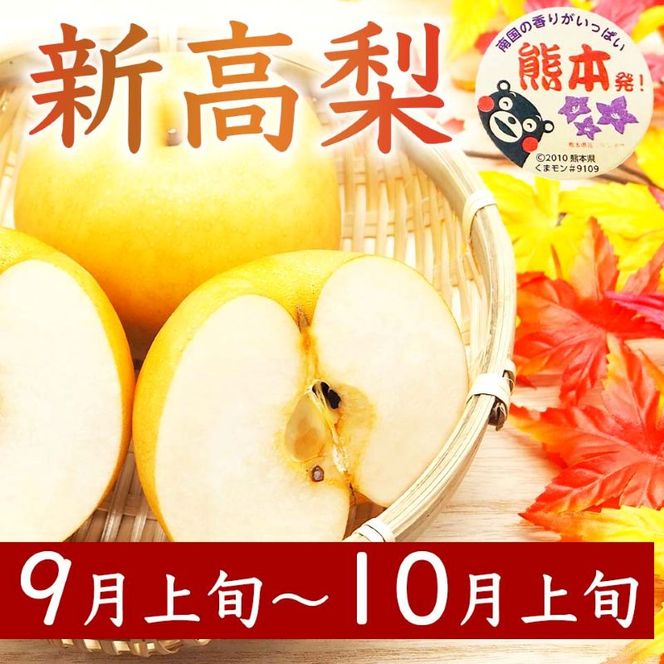 定期便3回 梨 約1.8kg×3回 計約5.4kg 豊水 秋月 新高 8月～10月出荷【梨 なし 果物 フルーツ デザート 食後 熊本県産】※配送不可：離島