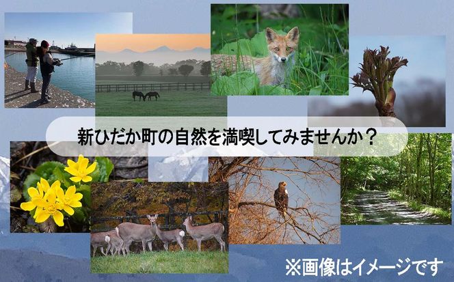 北海道 新ひだか町 体験 ツアー クーポン 10,000円分 日高 三石 釣り 星空 観賞 日高山脈 眺望ツアー 馬 サラブレッド 牧場 見学