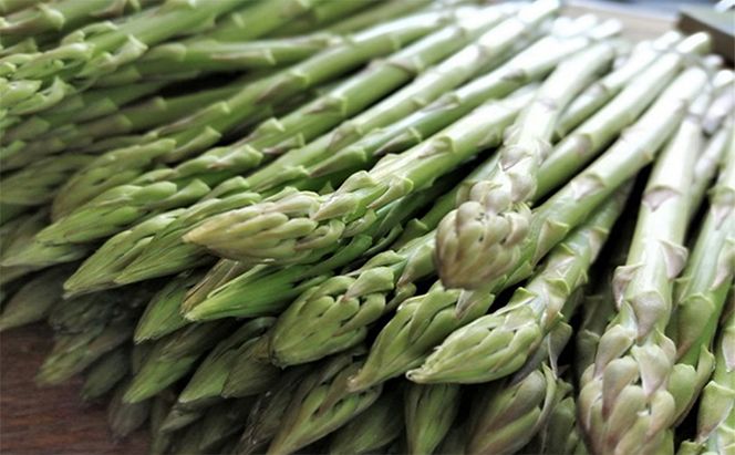 砂川さんの特選 アスパラ 1kg Mサイズ【さぬきのめざめ】 アスパラガス 冷蔵便 野菜 甘い 美味しい グリーンアスパラ 1万円以下 野菜セット 新鮮 旬 とれたて お取り寄せ 小分け BBQ 自宅用 家庭用 