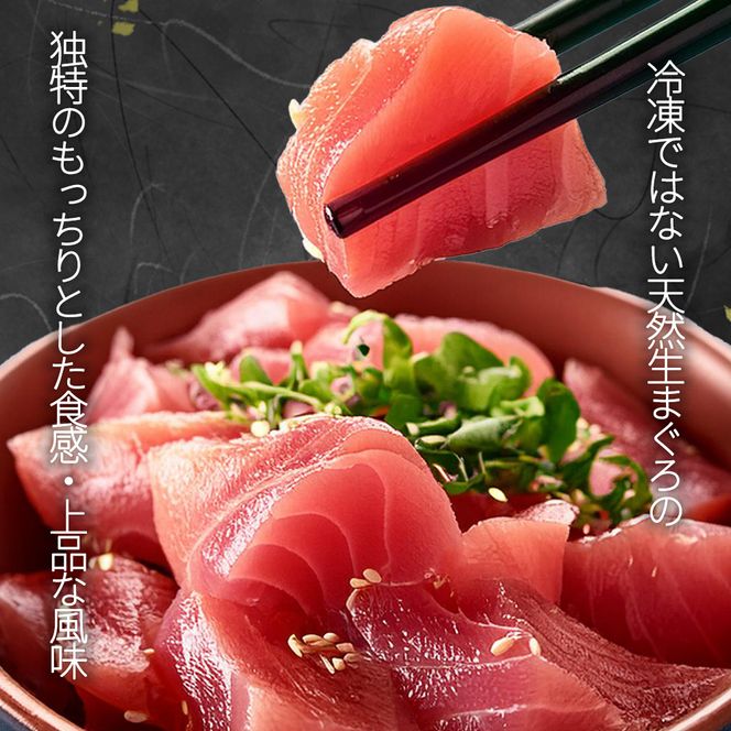 那智勝浦直送！天然生まぐろ 冊 500g / マグロ 鮪  まぐろ メバチ キハダ 魚 海鮮 刺身 柵 さく【uot806】
