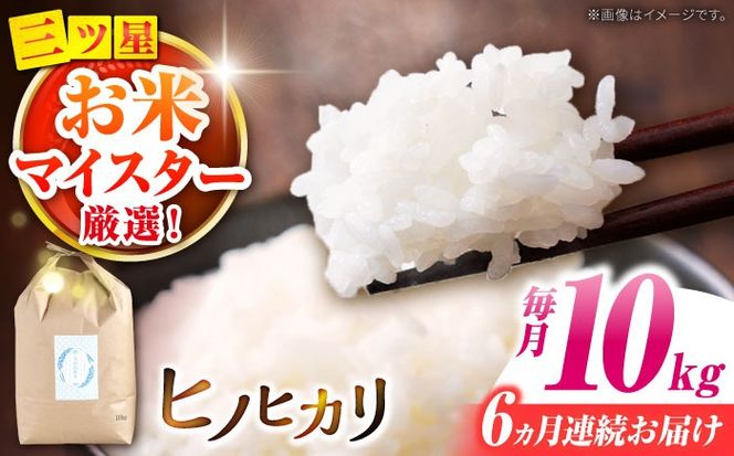 y茧쓇szy쓇sYqmqJz10kg×6  /  qmqJ / 쓇s / ѓcčX [SCO002]