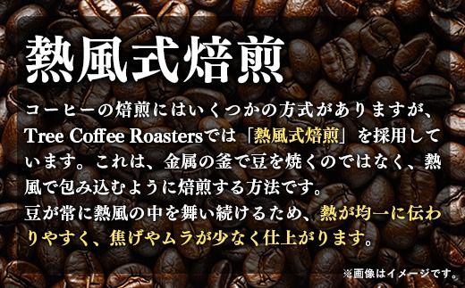 【完全受注焙煎】Tree Coffee Roasters「グアテマラ エスエイチビー カフェピューマ ハイロースト」 200g - コーヒー 豆 こだわり 自家焙煎 コーヒー豆 熱風式焙煎 本格 贈り物 おすすめ 人気 沖縄県 八重瀬町