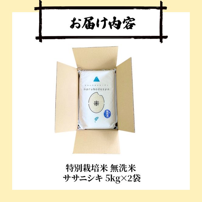 【令和8年産 新米予約】【無洗米】秋田県産特別栽培米ササニシキ10kg（5kg×2袋）新米 お米 おこめ 精米 小分け 特別栽培米