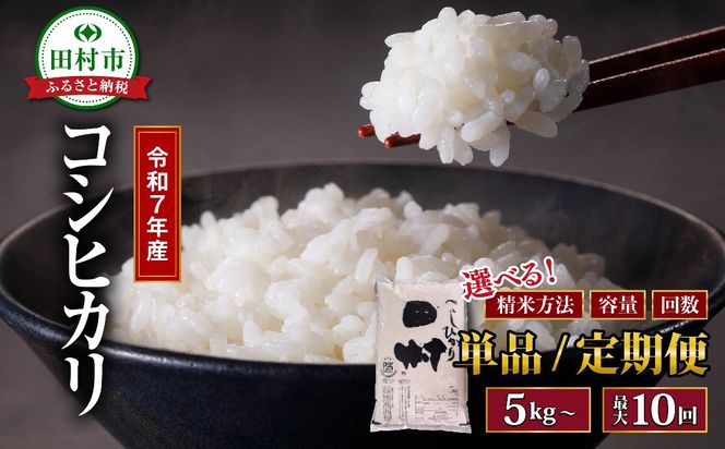 【 令和7年産 無洗米 】【定期便6回】コシヒカリ 10kg（5kg×2袋） お米マイスター  食味鑑定士 福島県産 田村市 安藤米穀店