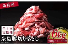 【 全3回 定期便 】糸島 豚 切り落とし 2kg ( 500g × 4P ) 糸島 【幸栄物産】 [ABH020]