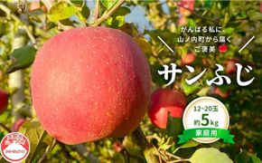 【2026年12月発送】今日を癒すひと玉 私のサンふじ サンふじ 家庭用 5kg りんご 果物