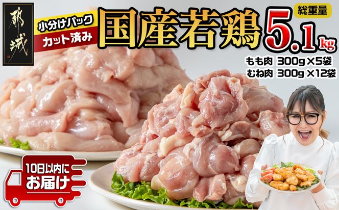 y{茧sszY{5.1kg pbN!Jbgς!݂₱񂶂}ց_MJ-3314-Q