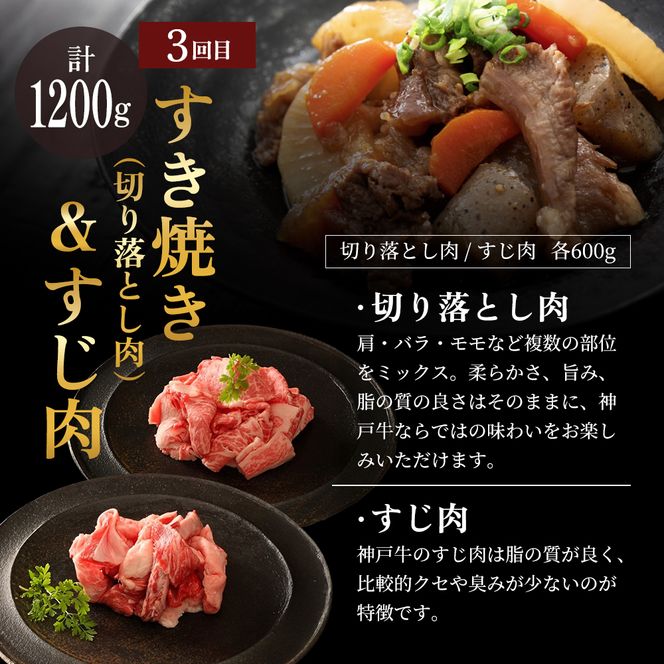 神戸牛 定期便 6ヶ月 すき焼き用セット 焼肉用セット すき焼き用＆すじ肉  希少部位 焼肉セット サイコロステーキ