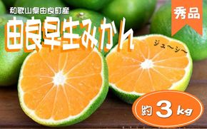 ≪秀品≫和歌山由良町産 由良早生みかん 約3kg サイズおまかせ【sml107C】