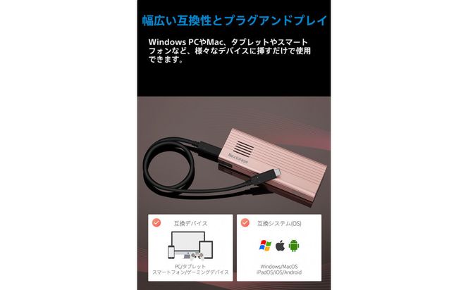 PS5拡張用ヒートシンク一体型SSDケース エンクロージャー NX-EN1PRO 141305_KE65