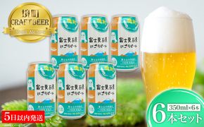 K2571S 【5日以内発送】 富士見百景にごり ビール 境町オリジナル 6本 (350ml×6本)  最速便