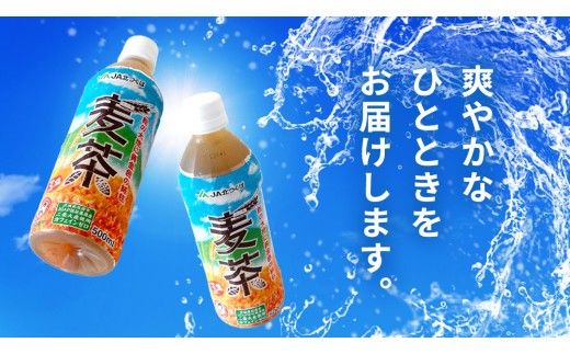 【 3ヶ月 定期便 】  JA北つくば JGAP認証 麦茶 1箱 ( 500ml × 24本 ) JGAP JA お茶 茶 ペットボトル 麦 大麦 二条大麦 ノンカフェイン カフェインゼロ [AE021ci]