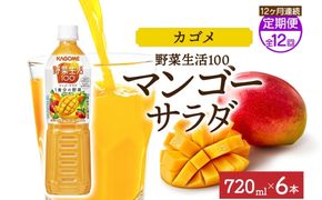 ns038-069　【定期便】12ヵ月連続野菜生活100 マンゴーサラダ 720mlPET