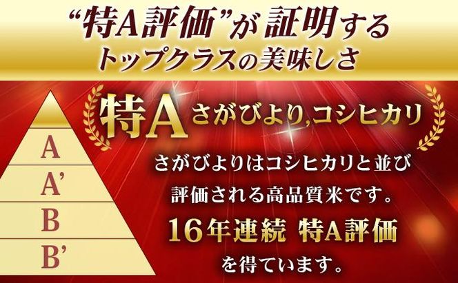 【選べる内容量/配送月】特A評価 令和7年産 さがびより 特A評価 5㎏～20㎏ | 米 白米 令和7年産 佐賀県産 5kg 10kg 15kg 20kg 精米 ブランド米 新米 お取り寄せ ごはん 人気 高評価 九州米 食味ランキング ギフト 家庭用