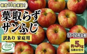 11～12月発送【 糖度保証 】家庭用 葉取らず サンふじ 約 5kg【 訳あり 】鶴翔りんごGAP部会 青森県産 津軽産 リンゴ 林檎 果物 フルーツ デザート 甘味 酸味 食感 