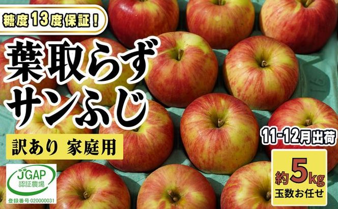 11～12月発送【 糖度保証 】家庭用 葉取らず サンふじ 約 5kg【 訳あり 】鶴翔りんごGAP部会 青森県産 津軽産 リンゴ 林檎 果物 フルーツ デザート 甘味 酸味 食感 