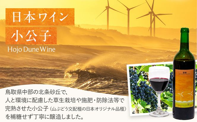 1081.310農園・日本ワイン（小公子・720ml） 313726_CA001