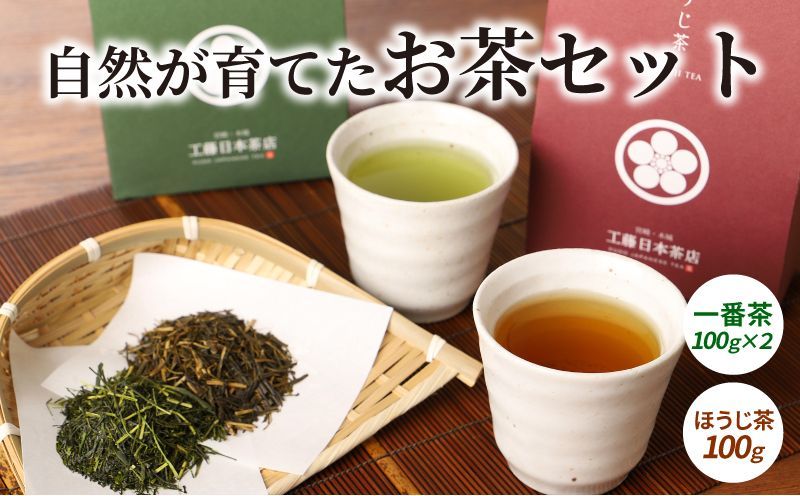 自然が育てたお茶セット K11_0001_2