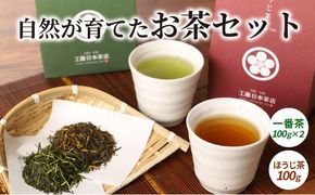自然が育てたお茶セット K11_0001_2