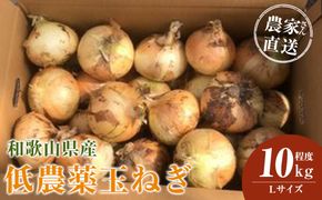 ［2026年発送分・先行予約］農家さん直送 低農薬玉ねぎ Lサイズ 10kg程度［4月中旬～7月中旬頃発送予定］［KF16］ 303446_BE90021