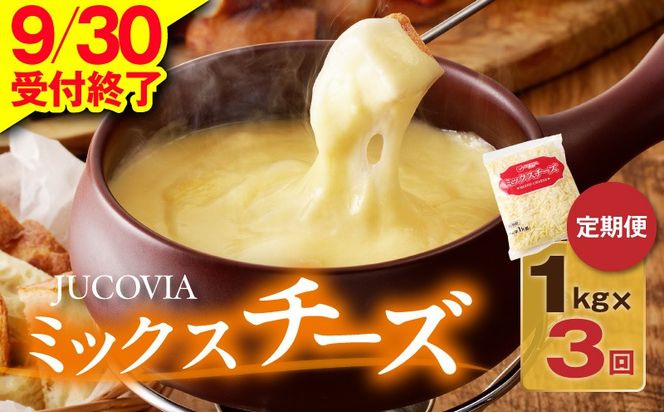 099Z336 【9/30受付終了】JUCOVIA ミックスチーズ 定期便 1kg×全3回【小分け 普段使い 高評価 ちーず 乳製品 ムラカワチーズ 一人暮らし ファミリー ピザ トースト】