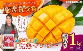 【優秀賞受賞】沖縄県産 完熟マンゴー 訳アリ 1kg (2〜3玉) マンゴー 沖縄 果物 フルーツ ギフト 沖縄市 / MAIFARM[BCAN003]