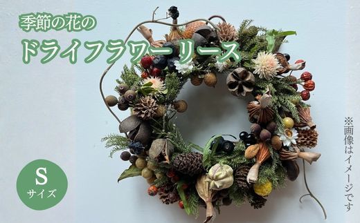 yÉxSRzE14G߂̉Ԃ̃hCt[@[X STCY