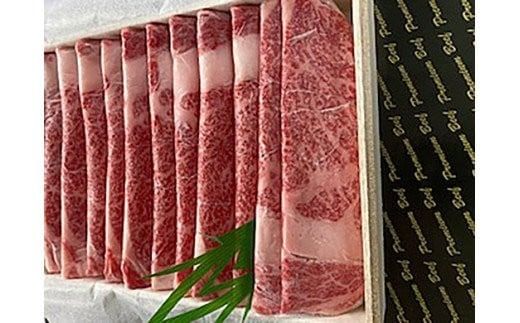 yꌧΊ_szAM-9 v~Ar[t@ԂԁiJ^[Xj800