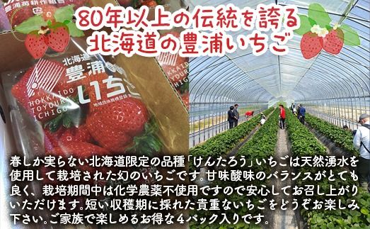 【2026年4月下旬以降出荷】豊浦いちご　250ｇ×4パック【 ふるさと納税 人気 おすすめ ランキング 果物 いちごイチゴ 苺 大玉 大粒 けんたろう おいしい 美味しい 農園直送 採れたて 新鮮 産直 苺 ストロベリー 北海道 豊浦町 送料無料 】 TYUAH003