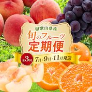 〈定期便〉【7・9・11月 全3回】産直・和歌山フルーツ（桃・ピオーネ・有田みかん）※北海道・沖縄・離島への配送不可