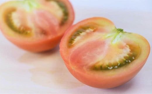 【令和7年度分予約受付】平泉町産 たかはしさんちの完熟トマト 約4kg(M玉サイズ) 【2025年6月下旬～9月下旬頃からの発送】/ トマト とまと 完熟 樹上完熟 野菜 やさい ベジタブル 甘い 濃厚 美味しい リコピン