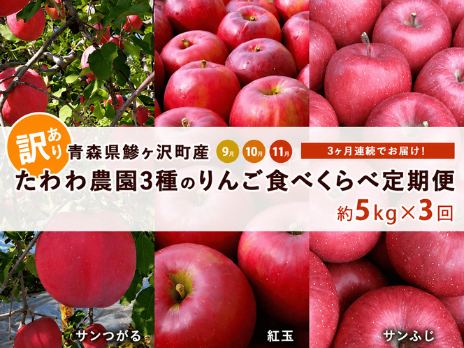 りんご 定期便 3ヶ月 青森 訳あり リンゴ 3種 サンつがる 紅玉 サンふじ 約5kg (18～20玉) 3回 たわわ農園 フルーツ 果物 定期 9月・10月・11月発送予定 ※オンライン決済限定