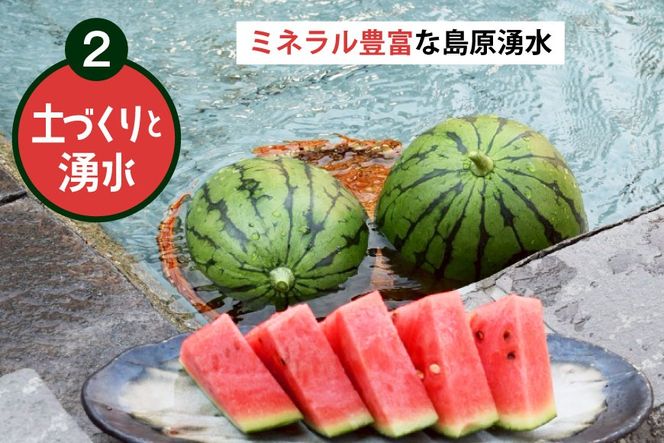 AJ462 【令和8年度出荷分】 Farm honda 小玉スイカ 3～5玉 約10kg [ 先行予約 数量限定 小玉 スイカ 西瓜 フルーツ 果物 長崎 長崎県 島原市 ]