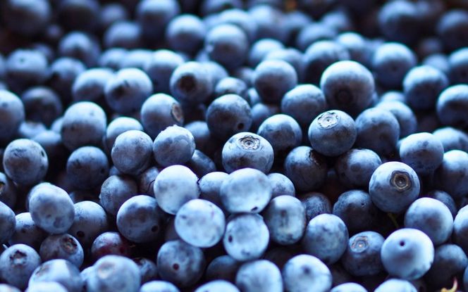 蒜山高原のブルーベリージャム 125g×3個 / ブルーベリー フルーツ ジャム ラム酒入り 蒜山高原 岡山県 真庭市 蒜山 プレゼント ギフト 【kbkb003-01】