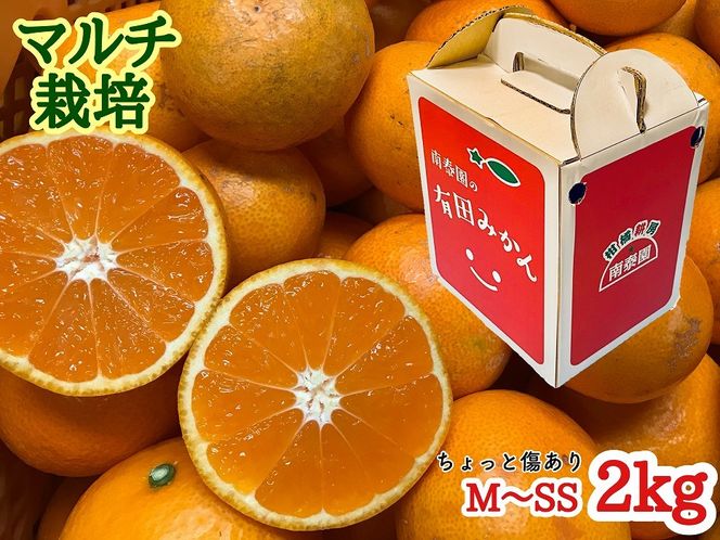 ちょっと 傷あり マルチ栽培 有田 みかん M ~ SS サイズ 2kg 手さげ箱 南泰園 BS677