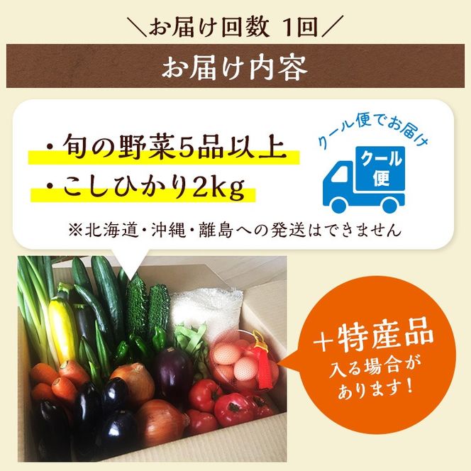 京都丹波・亀岡発 旬の野菜・こしひかり 詰め合わせセット● ※北海道・沖縄・離島への配送不可