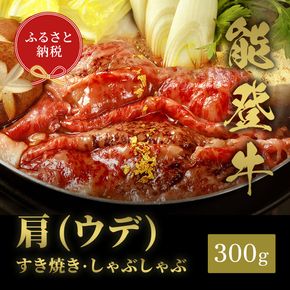 肉【和牛セレブ】能登牛　牛肩(うで) すき焼き・しゃぶしゃぶ 300g 黒毛和牛 霜降り ギフト 石川県 能美市 172111_DB021