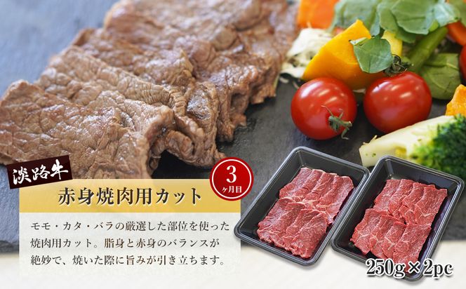 【定期便3ヶ月】淡路牛 赤身肉の定期便（ミニステーキ・サイコロステーキ・焼肉用カット）