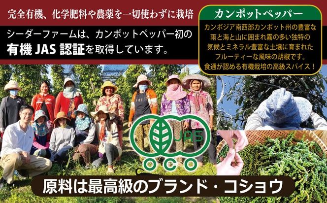 099H4472 生胡椒ディップ エメラルドの雫（シズク）70g×１本【胡椒 こしょう コショウ 缶詰 缶詰め かんづめ 防災 防災用品 備蓄】