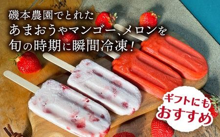 アイスキャンディ 10本セット 全7種＋ランダム3本 糸島市 / TANNAL [ATB033] アイス キャンディ アイスバー フルーツ 果物 果肉入り いちご 苺 メロン