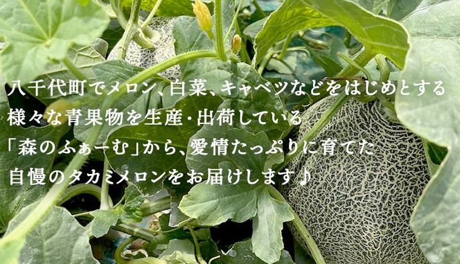 【 先行予約 2026年6月中旬 以降発送】 令和8年産 八千代町産 タカミメロン 優以上 1箱 （ 2玉 入り） 期間限定 産地直送 果物 フルーツ メロン 甘い [CL003ya]