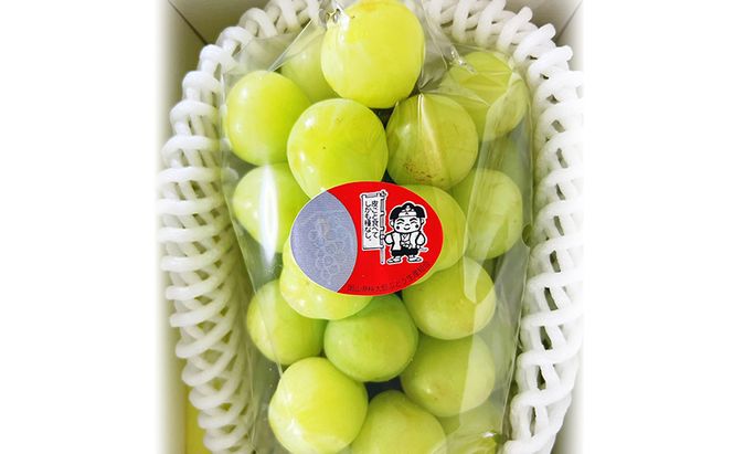 ぶどう 2026年 先行予約 桃太郎ぶどう 1房(700g以上) 化粧箱入り ブドウ 葡萄 岡山県産 国産 フルーツ 果物 ギフト 