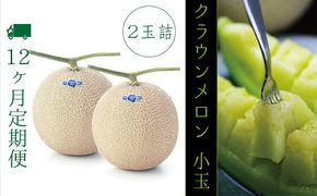 【12ヶ月定期便】クラウンメロン（白等級）小玉　２玉入 果物類 メロン青肉 