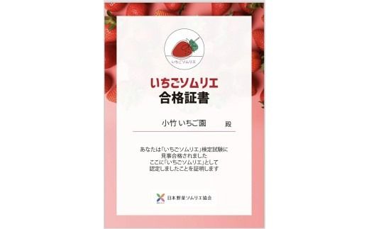《数量限定》紅白セット（とちあいか・ミルキーベリー） 270g×2パック 540g以上 ｜いちご イチゴ 苺 先行予約 栃木県 果物 くだもの フルーツ デザート とちあいか ミルキーベリー 新鮮 贈答 ギフト 食べ比べ ※2027年1月～発送