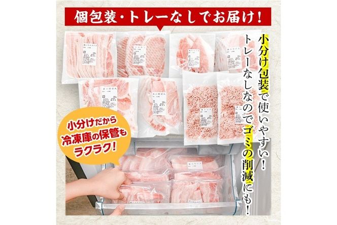 ＜1回配送＞ 豚肉 バラエティーパック (合計2kg) 豚バラ しゃぶしゃぶ 鍋 とんかつ ロース 小分け 個包装 豚こま 小間切れ スライス ミンチ 5種 セット 詰め合わせ 冷凍 食べ比べ 国産 大分県 佐伯市【BD320】【西日本畜産】