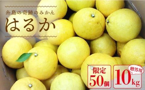 【先行予約】爽やかに甘い！ 糸島 産「 はるか 」 贈答 用 約10kg 【2025年3月より順次発送】 《糸島》【二丈赤米産直センター】[ABB002]